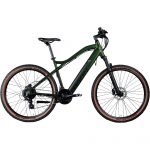 Agon Alpha E Bike MTB